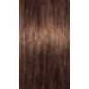 Schwarzkopf Igora Absolutes — ton 6-60