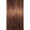 Schwarzkopf Igora Absolutes — Ton 7-60