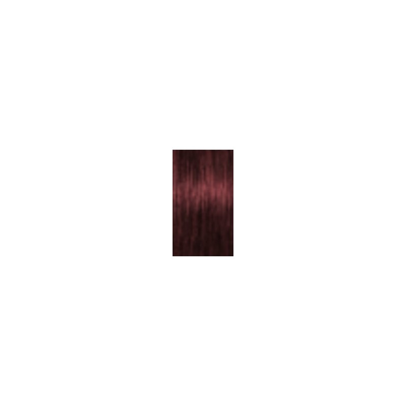 Schwarzkopf Igora Absolutes — Ton 5-80
