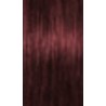 Schwarzkopf Igora Absolutes — tono 5-80