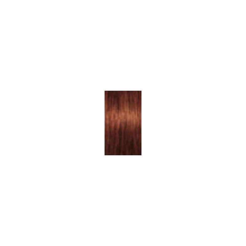 Schwarzkopf Igora Absolutes — tono 6-70