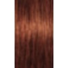 Schwarzkopf Igora Absolutes — tono 6-70