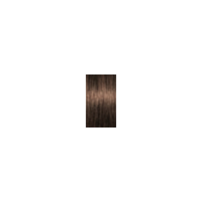 Schwarzkopf Igora Absolutes — tom 5-50