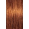 Schwarzkopf Igora Absolutes — tom 7-70