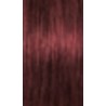 Schwarzkopf Igora Absolutes — tom 6-80