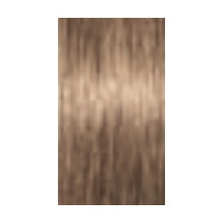 Schwarzkopf Igora Absolutes — tono 8-01