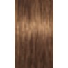 Schwarzkopf Igora Absolutes — tom 7-450