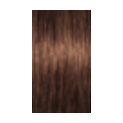 Schwarzkopf Igora Absolutes — tono 6-460