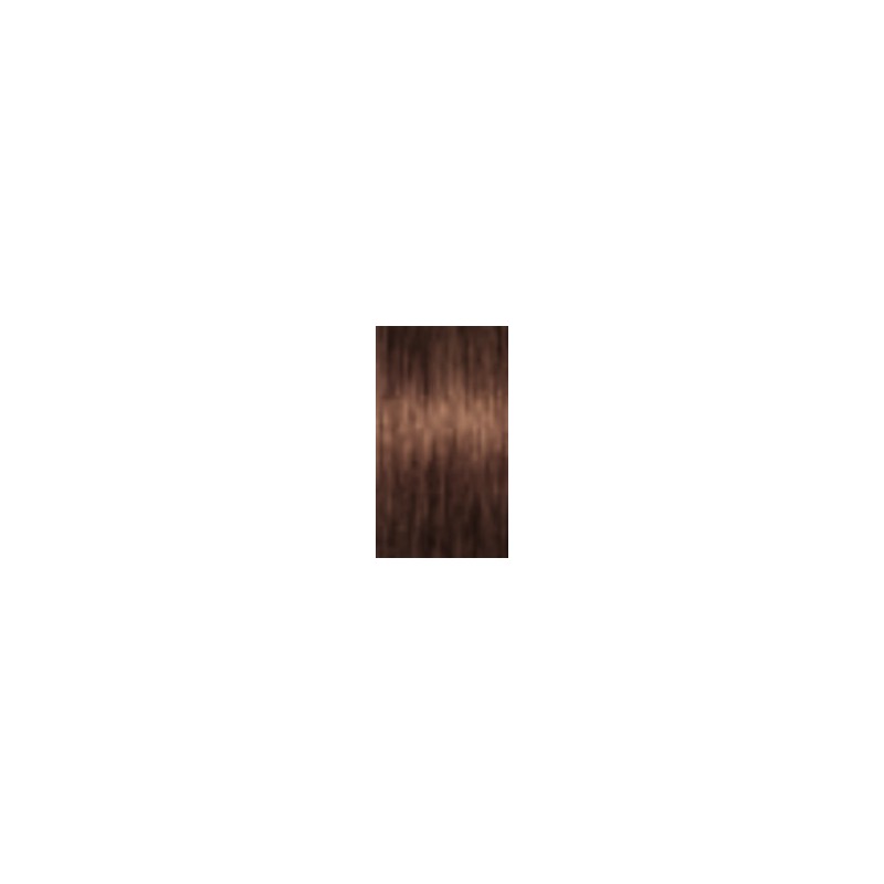 Schwarzkopf Igora Absolutes — tono 6-460