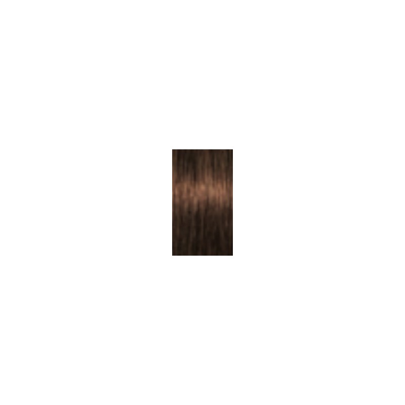 Schwarzkopf Igora Absolutes — tom 6-50