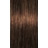 Schwarzkopf Igora Absolutes — tom 6-50