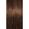 Schwarzkopf Igora Absolutes — tom 8-60