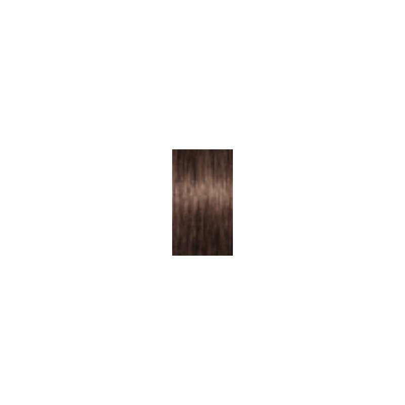 Schwarzkopf Igora Royal — tom 6-46