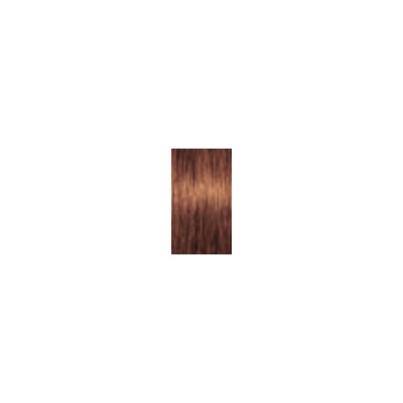 Schwarzkopf Igora Royal — ton 7-764