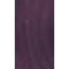 Wella Koleston — tom 0/66