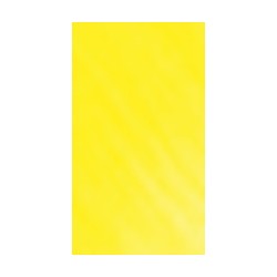 Crazy Color 49 — Canary Yellow