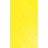 Crazy Color 49 — Canary Yellow