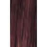 Lakme Chroma 4/65
