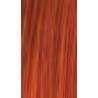 Lakme Gloss 0/40