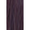 Lakme Gloss 5/50