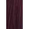 Lakme Gloss 6/59