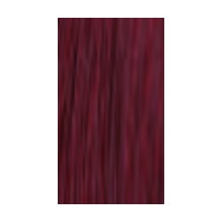 Lakme Gloss 6/95