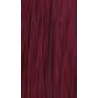 Lakme Gloss 6/95