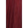 Lakme Gloss 6/99