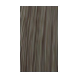 Lakme Gloss 7/13