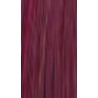 Lakme Gloss 7/50