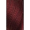 L'Oreal INOA 6.66