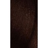 L'Oreal INOA 5.5