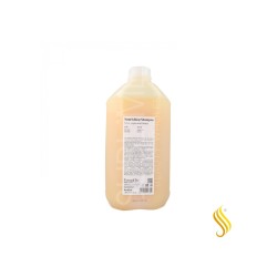 Farmavita Back Bar Nº/02 Xampú Nutritiu 5L (Cabell Sec+Feble) Farmavita - 1