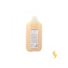 Farmavita Back Bar Nº/02 Xampú Nutritiu 5L (Cabell Sec+Feble) Farmavita - 1