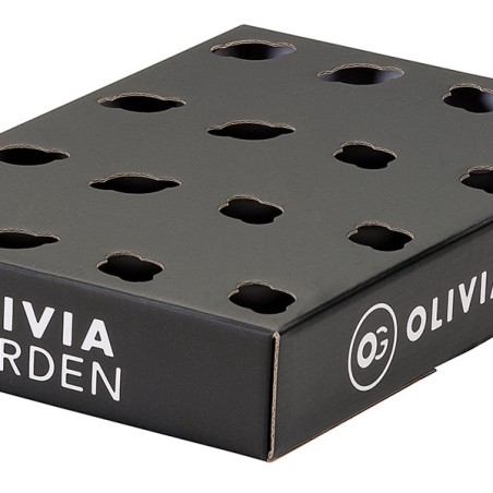 Présentoir Carton Olivia Garden 16 Trous Olivia Garden - 1