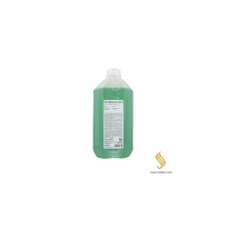 Farmavita Back Bar Nº/04 Xampú Revitalitzant 5L Farmavita - 1